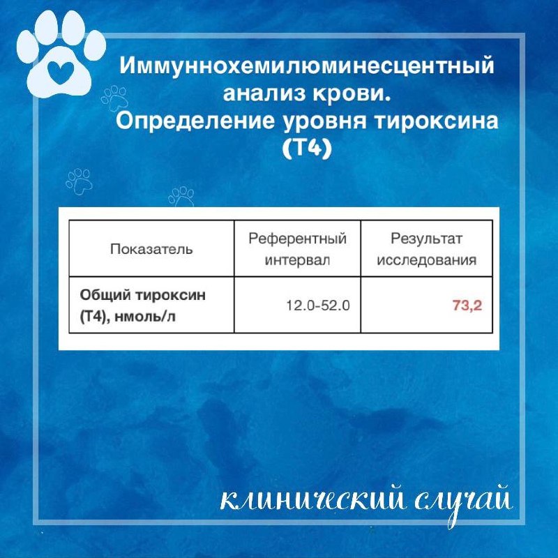 Иллюстрация к публикации «Протеинурия при гипертиреозе», 1