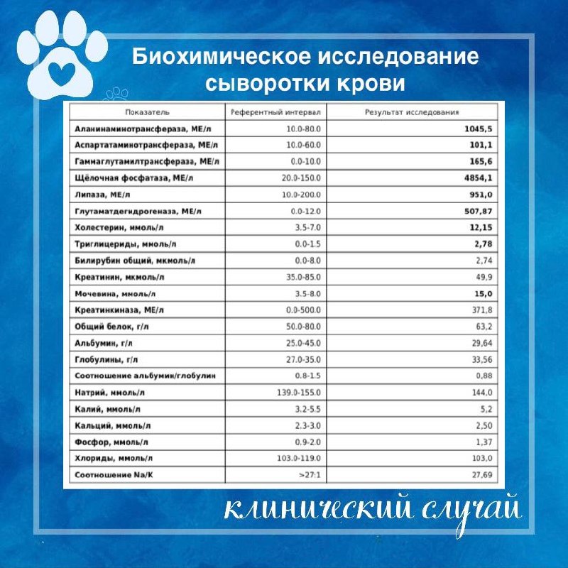 Иллюстрация к публикации «Гипотиреоз и изменения печени», 1