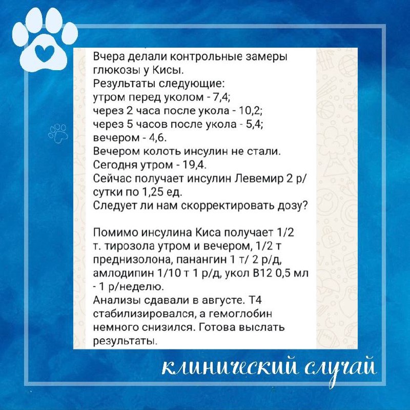 Иллюстрация к публикации «Диабет и сопутствующие заболевания», 1